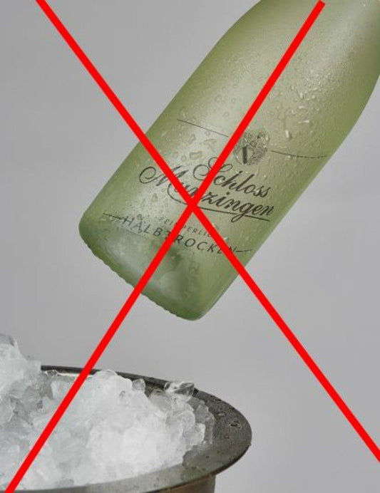 Flaschenkühler Eistasche, Weinkühler, Getränkekühler Garten, Sektkühler, 2er Set, transparent