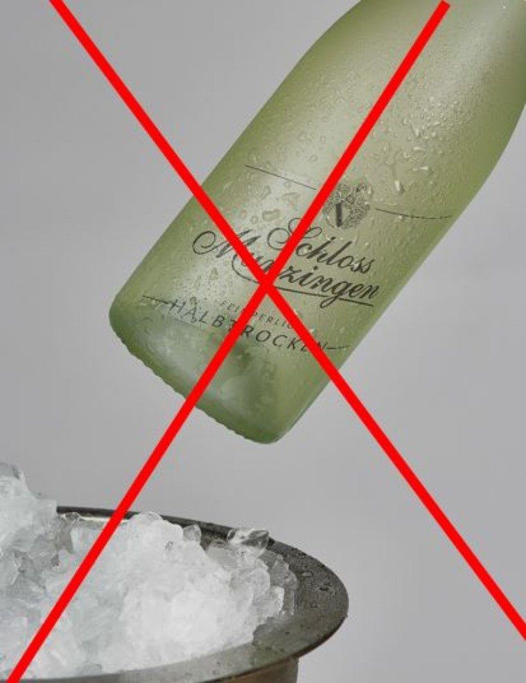 Flaschenkühler Eistasche, Weinkühler, Getränkekühler Garten, Sektkühler, 2er Set, lila