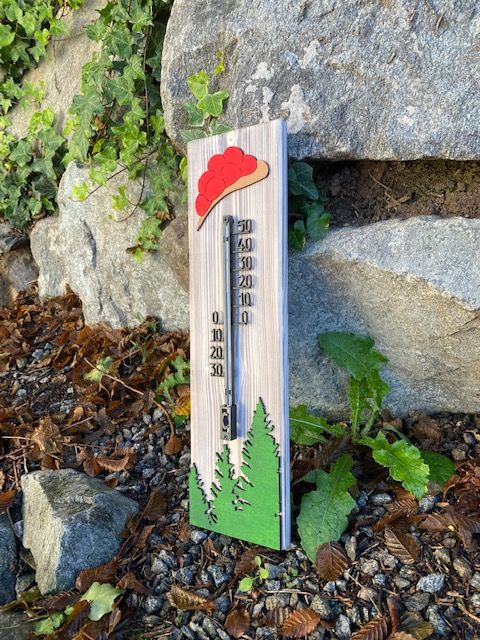 Schwarzwald Thermometer "Juliane" große Variante, modern, Holz!