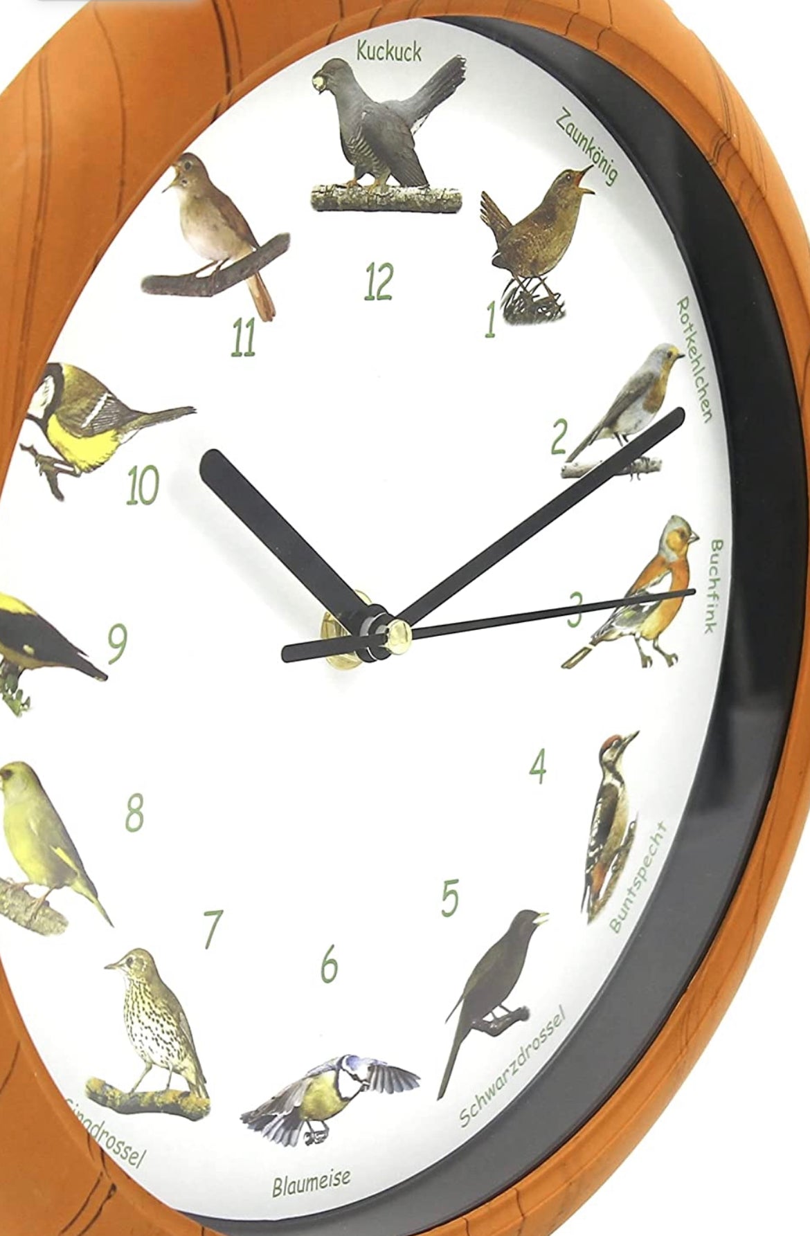 Wanduhr "Vogelstimmen", 25 cm Durchmesser, 12 heimische Vögel zur vollen Stunde.
